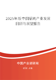 2025年版中國鍋刷產業發展回顧與展望報告
