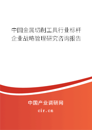 中國金屬切削工具行業標桿企業戰略管理研究咨詢報告