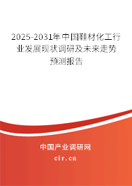 2025-2031年中國鞋材化工行業發展現狀調研及未來走勢預測報告