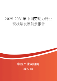 2025-2031年中國勞動力行業現狀與發展前景報告