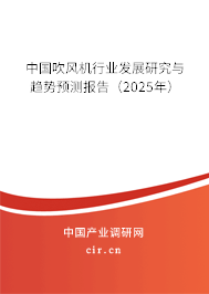 中國吹風(fēng)機(jī)行業(yè)發(fā)展研究與趨勢(shì)預(yù)測(cè)報(bào)告（2025年）