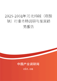 2025-2031年河北純堿（碳酸鈉）行業市場調研與發展趨勢報告