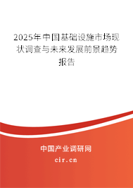 2025年中國基礎設施市場現(xiàn)狀調(diào)查與未來發(fā)展前景趨勢報告