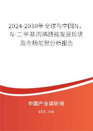 2024-2030年全球與中國N，N-二甲基丙烯酰胺發展現狀及市場前景分析報告