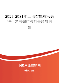 2025-2031年上海智能燃氣表行業發展調研與前景趨勢報告
