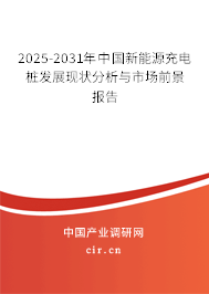2025-2031年中國新能源充電樁發展現狀分析與市場前景報告