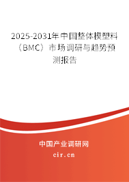 2025-2031年中國整體模塑料（BMC）市場調(diào)研與趨勢預(yù)測報(bào)告
