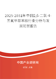 2025-2031年中國2,6-二氯-4-三氟甲基苯胺行業分析與發展前景報告