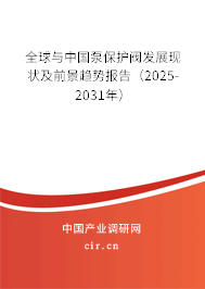全球與中國(guó)泵保護(hù)閥發(fā)展現(xiàn)狀及前景趨勢(shì)報(bào)告（2025-2031年）