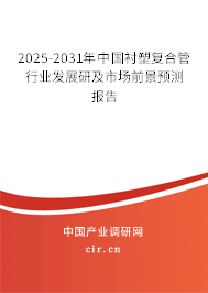 2025-2031年中國襯塑復合管行業發展研及市場前景預測報告