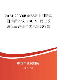 2024-2030年全球與中國動態(tài)圓錐貫入儀（DCP）行業(yè)發(fā)展全面調(diào)研與未來趨勢報告