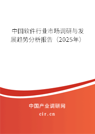 中國軟件行業市場調研與發展趨勢分析報告（2025年）