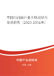 中國(guó)引閃器行業(yè)市場(chǎng)調(diào)研與發(fā)展趨勢(shì)（2025-2031年）