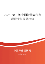 2025-2031年中國智能光伏市場現狀與發展趨勢