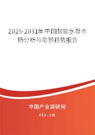 2025-2031年中國智能水泵市場分析與前景趨勢報告