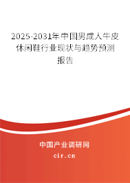 2025-2031年中國男成人牛皮休閑鞋行業現狀與趨勢預測報告