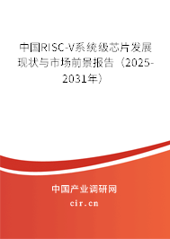 中國RISC-V系統級芯片發展現狀與市場前景報告（2025-2031年）