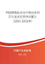 中國鐵路信息化市場調查研究與發(fā)展前景預測報告（2025-2031年）