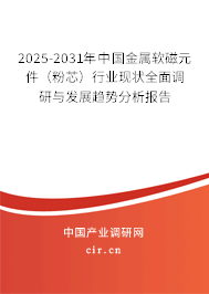 2025-2031年中國金屬軟磁元件（粉芯）行業現狀全面調研與發展趨勢分析報告