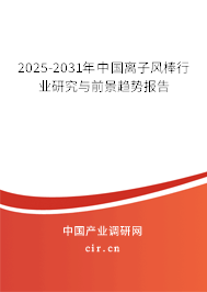 2025-2031年中國離子風棒行業研究與前景趨勢報告