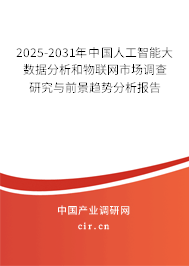 2025-2031年中國(guó)人工智能大數(shù)據(jù)分析和物聯(lián)網(wǎng)市場(chǎng)調(diào)查研究與前景趨勢(shì)分析報(bào)告