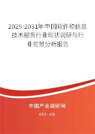 2025-2031年中國軟件和信息技術服務行業現狀調研與行業前景分析報告