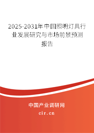 2025-2031年中國照明燈具行業發展研究與市場前景預測報告