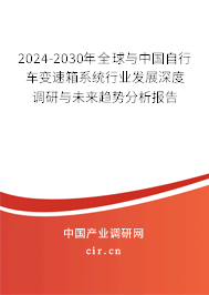 2024-2030年全球與中國自行車變速箱系統行業發展深度調研與未來趨勢分析報告