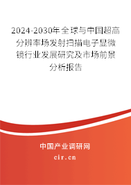 2024-2030年全球與中國超高分辨率場發射掃描電子顯微鏡行業發展研究及市場前景分析報告