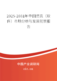 2025-2031年中國仿真（軟件）市場分析與發展前景報告