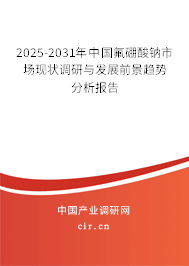 2025-2031年中國氟硼酸鈉市場現狀調研與發展前景趨勢分析報告