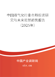 中國煤氣化行業市場現狀研究與未來前景趨勢報告（2025年）