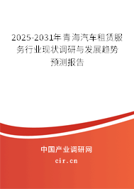 2025-2031年青海汽車租賃服務行業現狀調研與發展趨勢預測報告