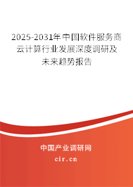2025-2031年中國軟件服務商云計算行業(yè)發(fā)展深度調(diào)研及未來趨勢報告