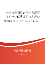 全球與中國頁巖氣水力壓裂技術(shù)行業(yè)現(xiàn)狀調(diào)研與發(fā)展趨勢預測報告（2024-2030年）