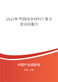 2025年中國納米材料行業深度調研報告