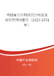 中國車刀市場研究分析及發展前景預測報告（2024-2030年）