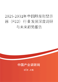 2025-2031年中國場發(fā)射顯示器（FED）行業(yè)發(fā)展深度調(diào)研與未來趨勢報(bào)告