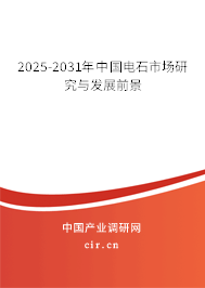 2024-2030年中國電石市場研究與發(fā)展前景