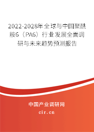 2022-2028年全球與中國聚酰胺6(PA6)行業發展全面調研與未來趨勢預測報告 2022-2028年全球與中國聚酰胺6(PA6)行業發展全面調研與未來趨勢預測報告