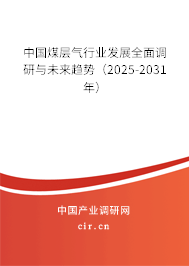 中國煤層氣行業發展全面調研與未來趨勢（2025-2031年）