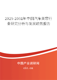 2025-2031年中國汽車美容行業研究分析與發展趨勢報告