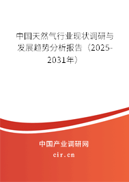 中國天然氣行業(yè)現(xiàn)狀調(diào)研與發(fā)展趨勢分析報(bào)告（2025-2031年）