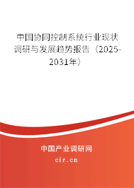 中國協同控制系統行業現狀調研與發展趨勢報告（2025-2031年）