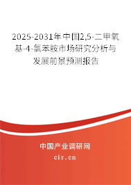 2025-2031年中國2,5-二甲氧基-4-氯苯胺市場研究分析與發(fā)展前景預(yù)測報告