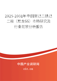 2025-2031年中國聚己二酰己二胺（尼龍66）市場研究及行業(yè)前景分析報告