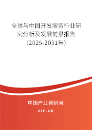 全球與中國開發服務行業研究分析及發展前景報告（2025-2031年）