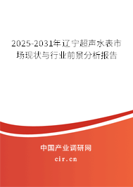 2025-2031年遼寧超聲水表市場現(xiàn)狀與行業(yè)前景分析報告