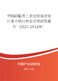 中國超臨界二氧化碳輸送管行業(yè)市場分析及前景趨勢報告（2025-2031年）