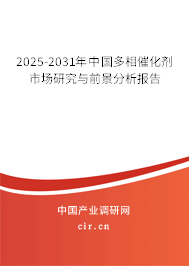 2024-2030年中國多相催化劑市場研究與前景分析報告